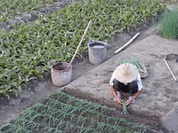 DSC01423