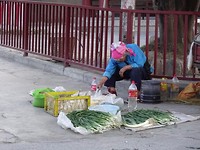 DSC01396