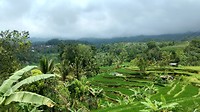 IMG_0041