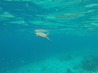 IMG_0110