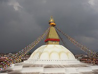 DSC05012
