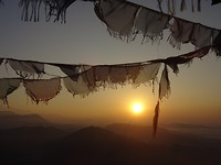 DSC05374