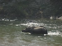 DSC06315