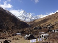 DSC05825