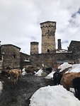 IMG-20190327-WA0005