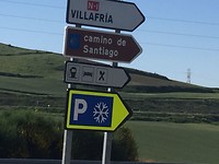 jaja