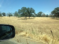 On our way to Yosemite
