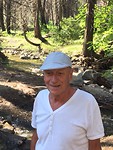 Papa in the Woods