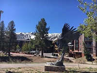 Juniper Lodge Resort