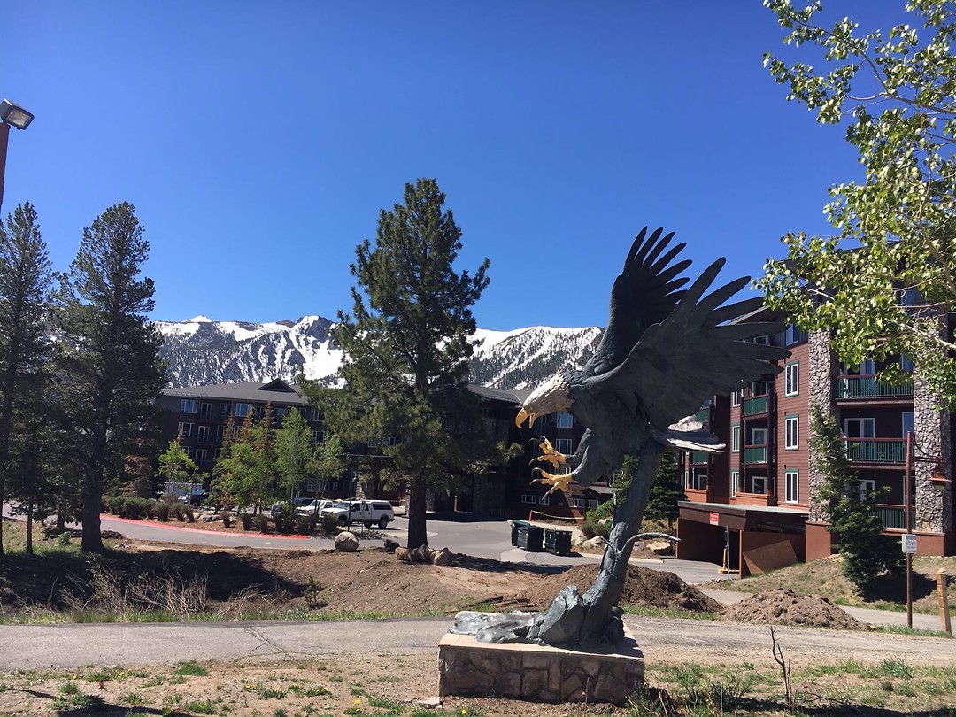 Juniper Lodge Resort