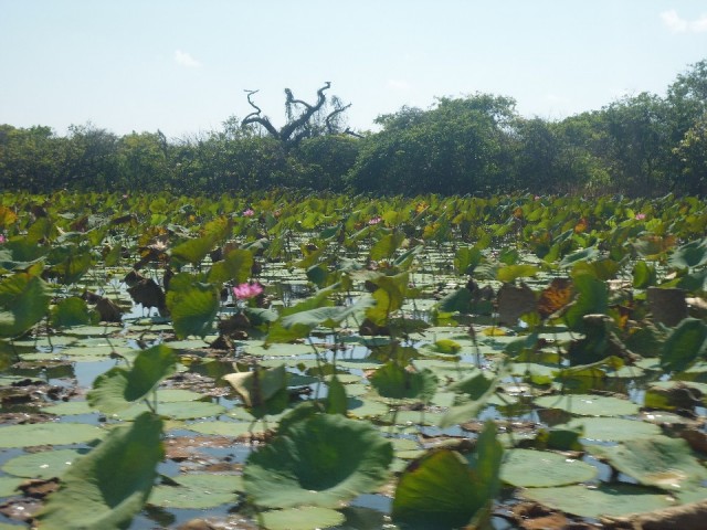 P1000320