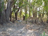 P1000276