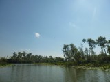 P1000330