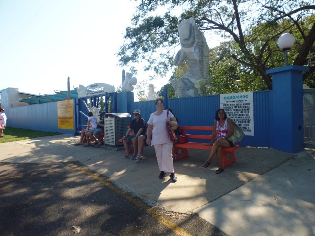 P1000544