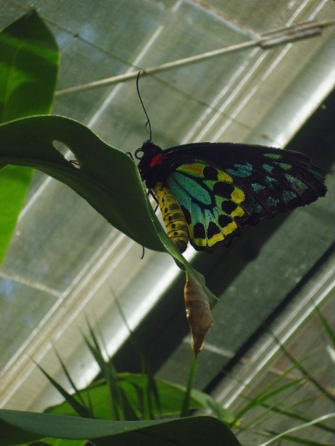 P1010069