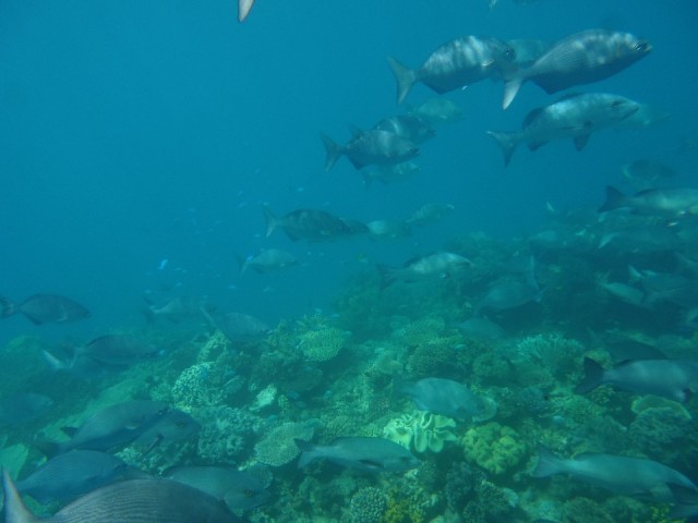 P1010151