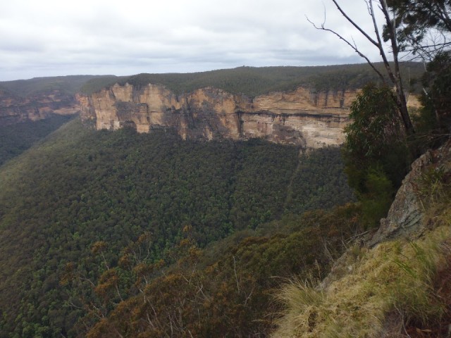 P1030316