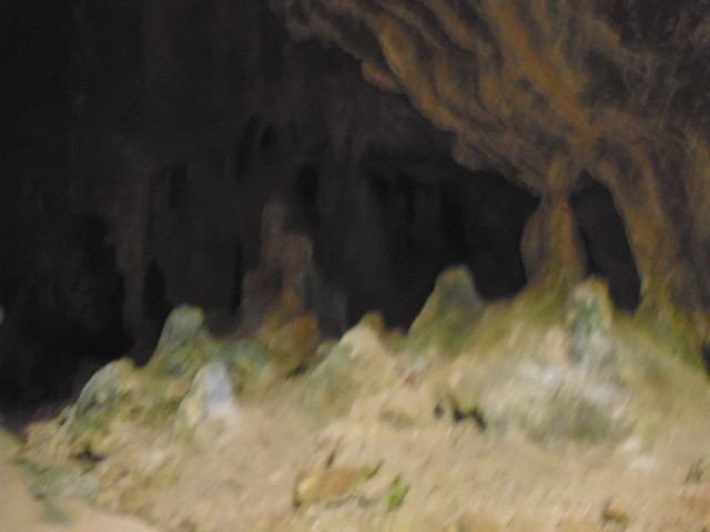 P1030373