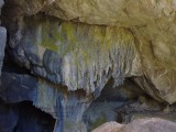 P1030437