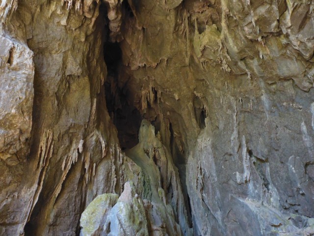 P1030440