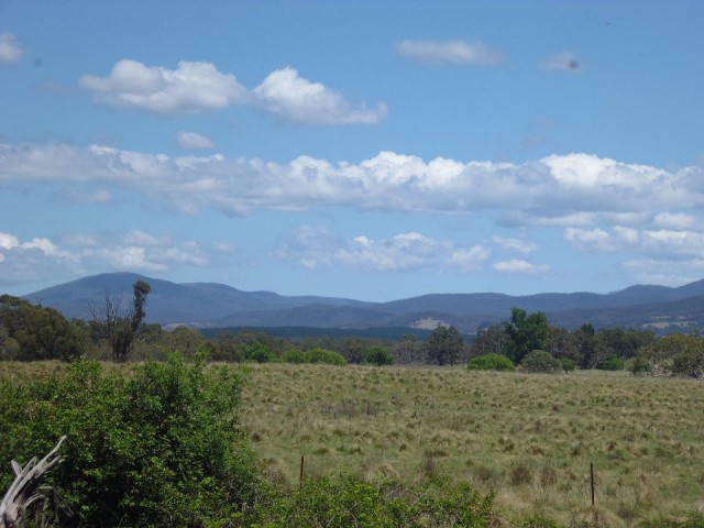 P1030549