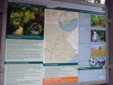 P1030828