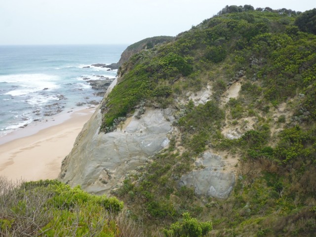 P1030851