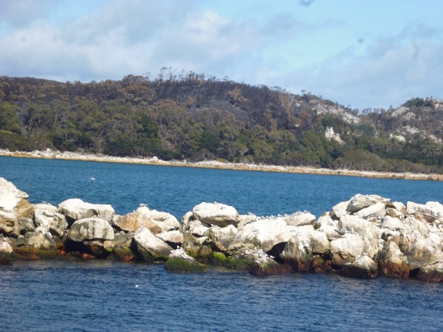 P1040262
