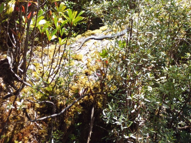 P1040330