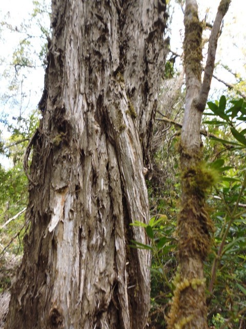 P1040334
