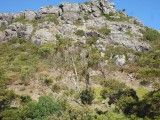 P1040479