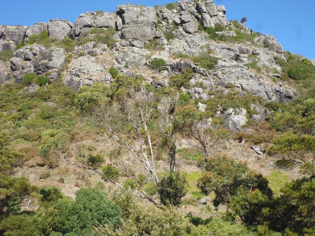 P1040479