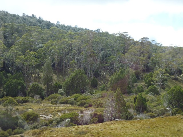 P1040383