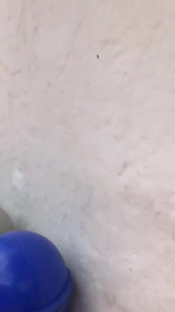 Pueblito Paisa