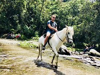 Prins op het witte paard 😂