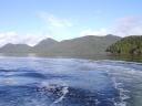 Tofino 001