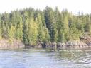 Tofino 003