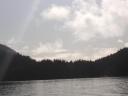 Tofino 004