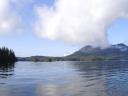 Tofino 012