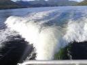 Tofino 020
