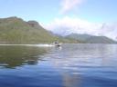 Tofino 022