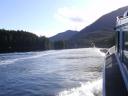 Tofino 023
