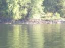 Tofino 026