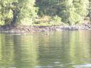 Tofino 027