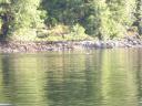 Tofino 028