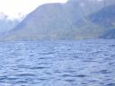 Tofino 039