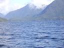 Tofino 040