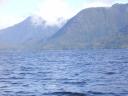 Tofino 041