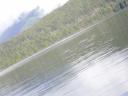 Tofino 050