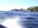 Tofino 055